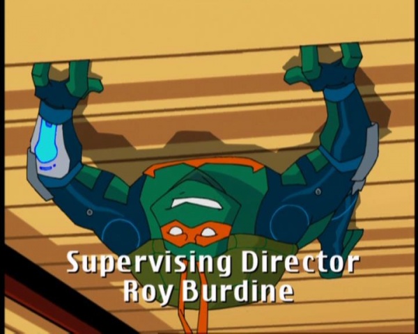 spider- turtle