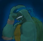 MNT Gaiden  Crying Leonardo by Tigerfog