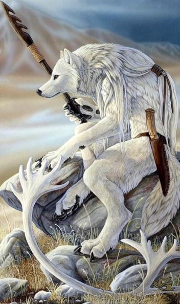 47154485 werwolf05