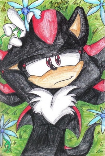 Relax Shadow    by elessthehedgecat