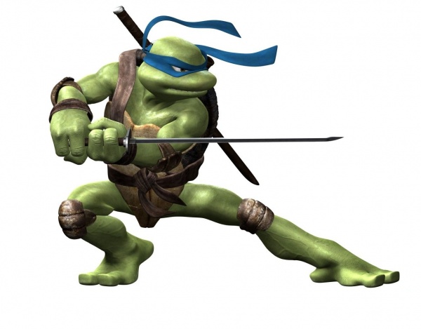 leonardo sword pose