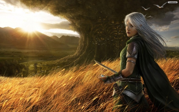 warrior wallpaper c7b35