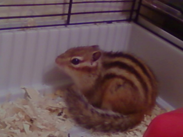 мои документы 162