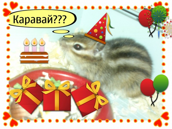 мои документы 203