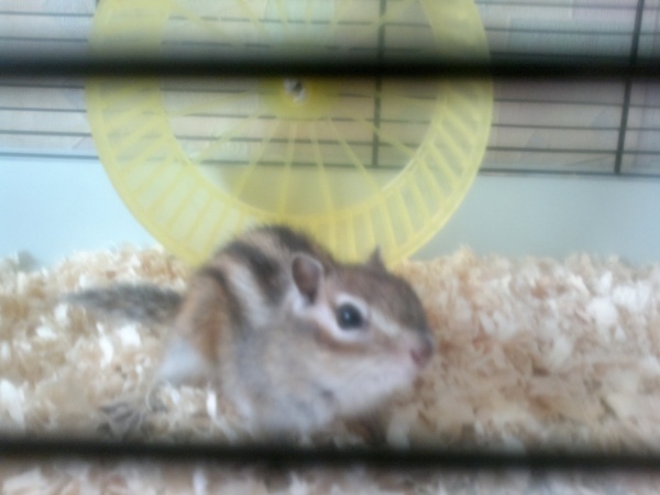 мои документы 196