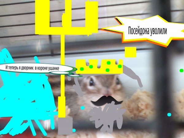 мои документы 202