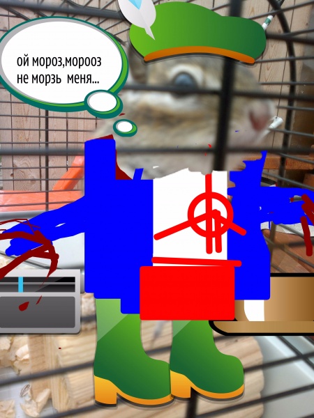 мои документы 215