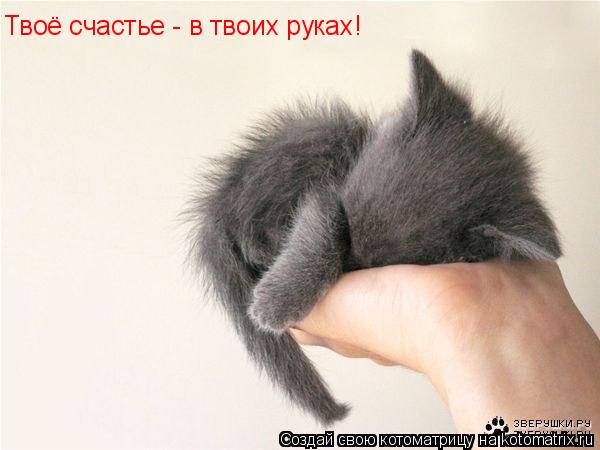 Твоё счастье - в твоих руках