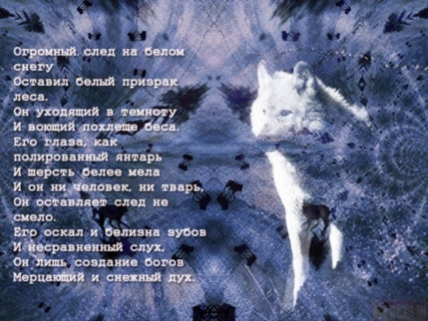 волки