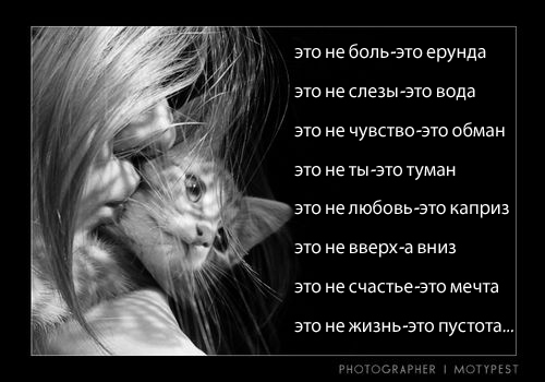 снова приехали