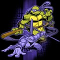 tmnt don poster