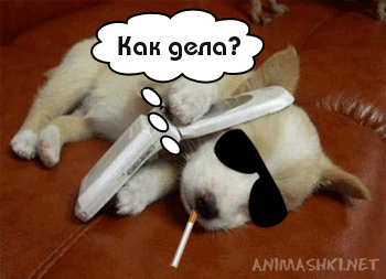 Как дела