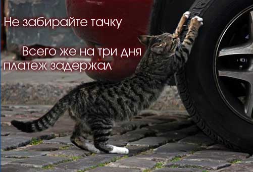 79992431 1  36
