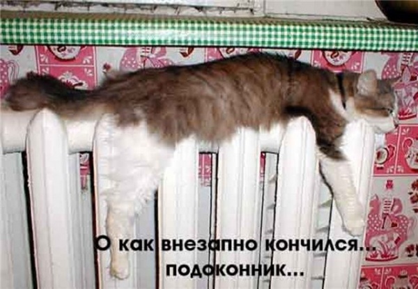 0 4e68d a21efeef XL