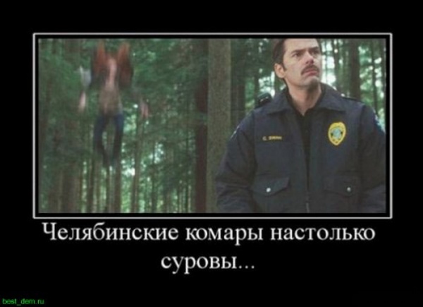 0 6fff7 cb693786 XL