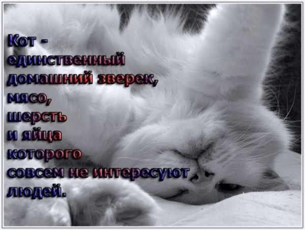 0910ec053d78d5473d9916f2f7d2d34e