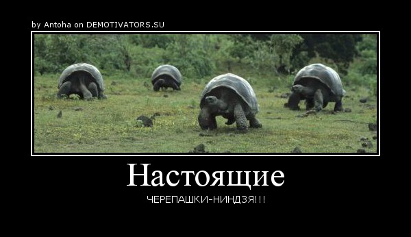 эх чё?