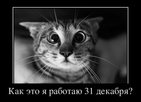 ЧТО????????