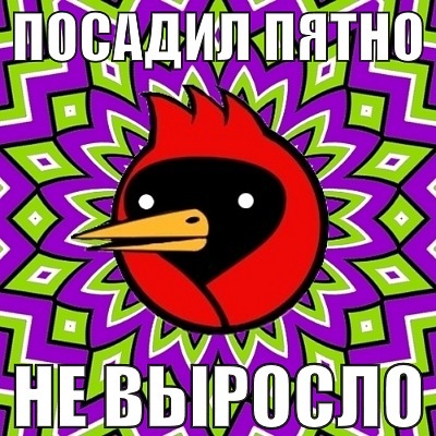 x 2cc54877
