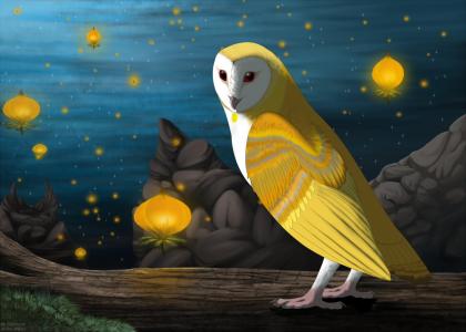 medium a 1300736423 shesterrni   tyto alba