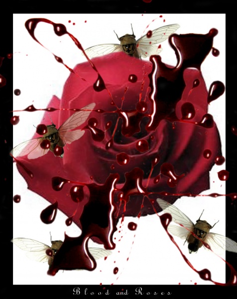 blood and rose