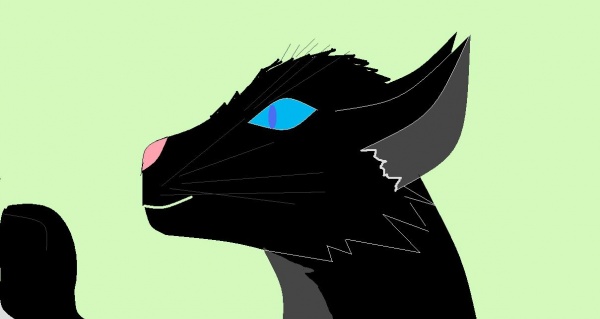 кот.
Паинт №1