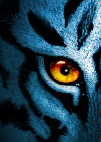1241362496 tiger eye by anderton
