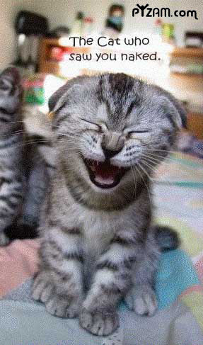 catnaked[1]