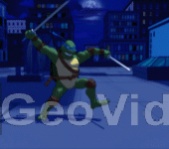 черепахи