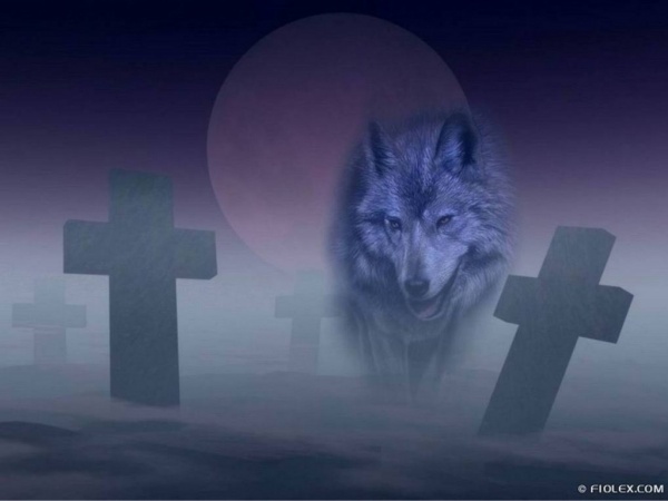 darkness wolf howl cross 31000