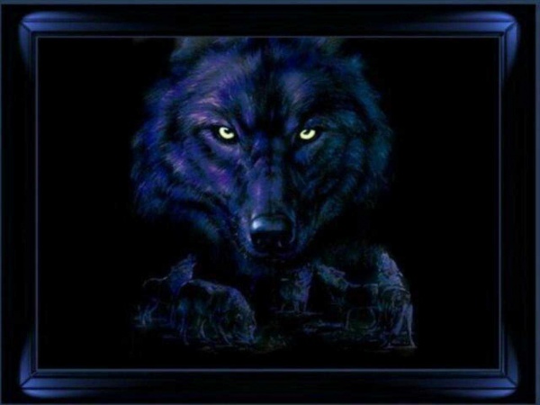 wallpaper 17374