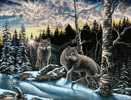 wolves