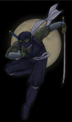 NINJA   Colored