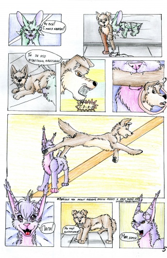 Пятая страница