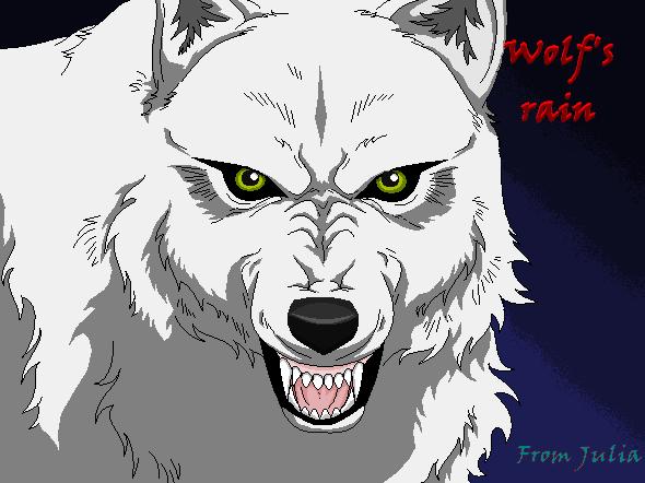 Wolfs rain (Kiba)