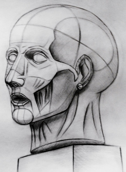 DSCN1224
