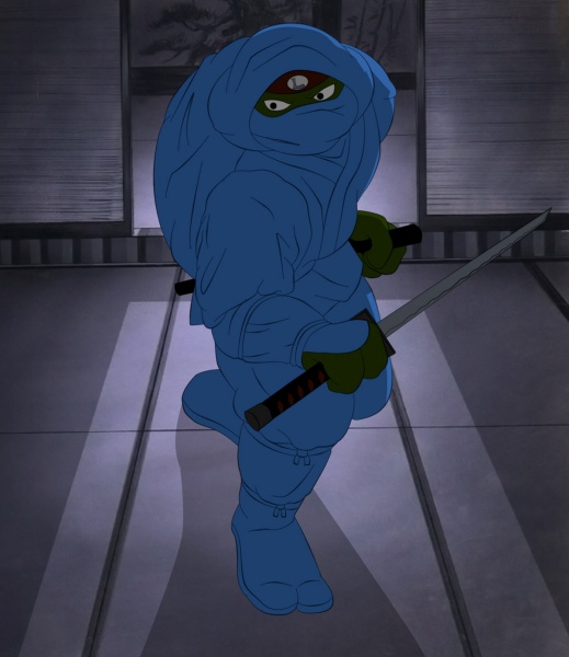 ninja Leo coloured