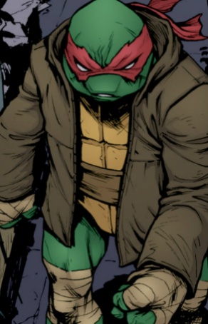 Teenage Mutant Ninja Turtles 025 009