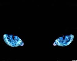images (14)
