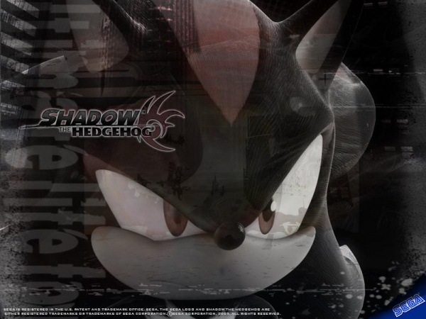 Shadow из игры Shadow the Hedgehog