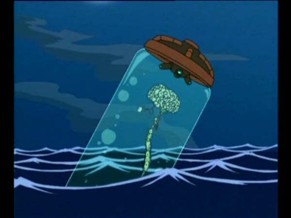 51
