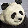 7419