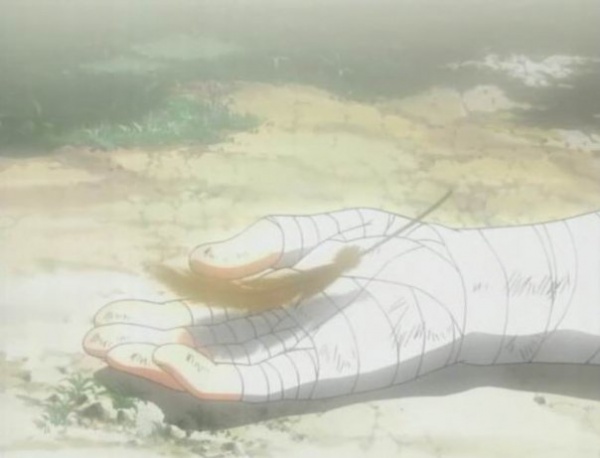 Жизнь как на ладони