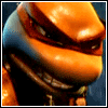 turtle26
