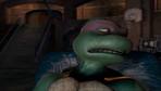 дон29
