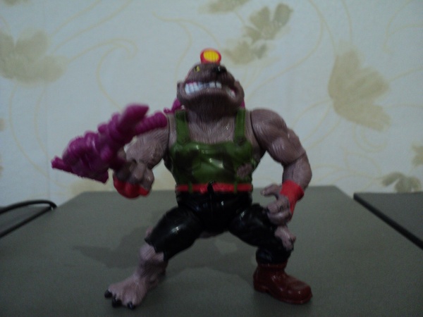 DSC00248