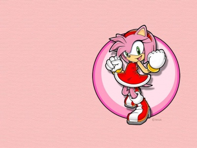 400 1216012953 amy rose abi