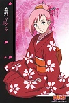 Sakura Haruno naruto 8721187 1005 1500