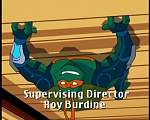 spider- turtle