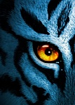 1241362496 tiger eye by anderton